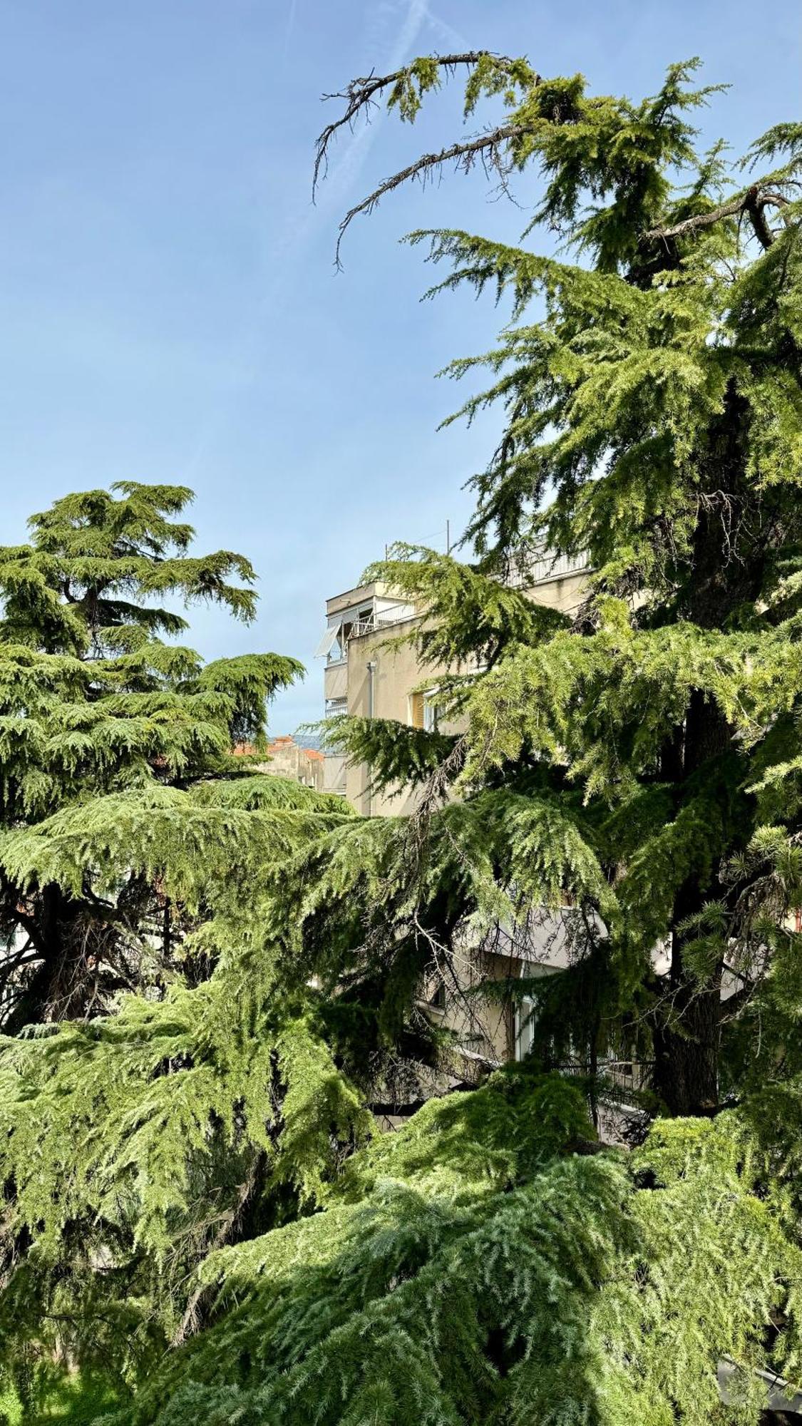 Jardin Rooms Split Kültér fotó